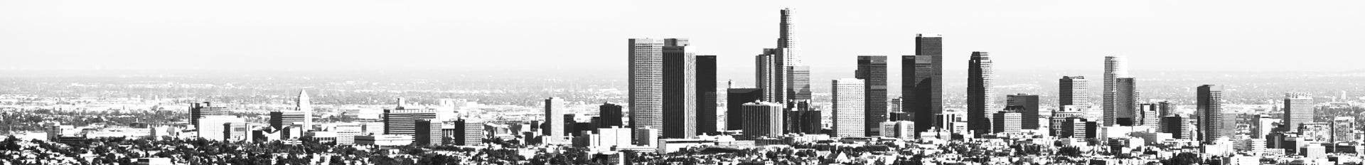 Black Friday Banner